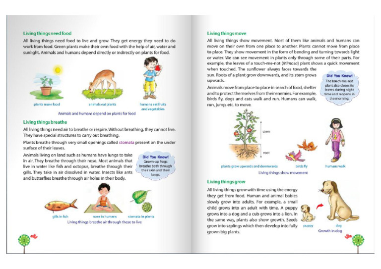 Science Class 3 Part 2 | PDF