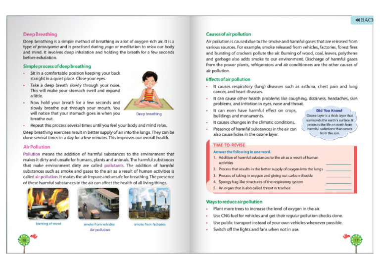 Science Class 3 Part 9 | PDF