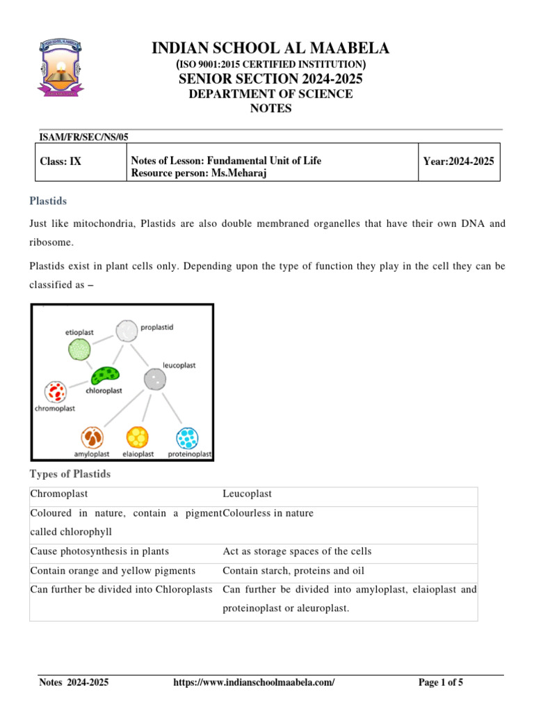 Notes Part 3 Biology Chapter 5 Fundamental Unit Pdf Chloroplast