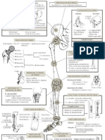 Fxs MMs minimanual