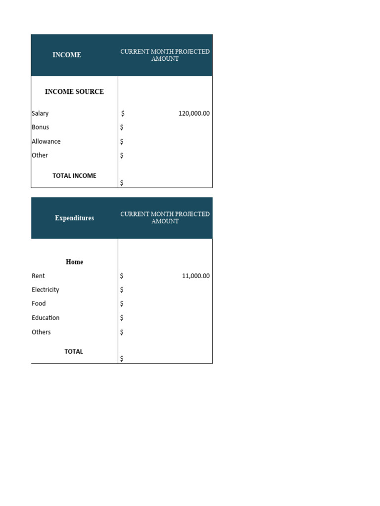 Monthly Income and Expenditure Overview | PDF