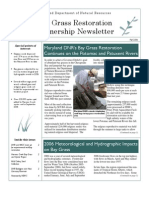 Fall 2006 Maryland Bay Grasses Newsletter