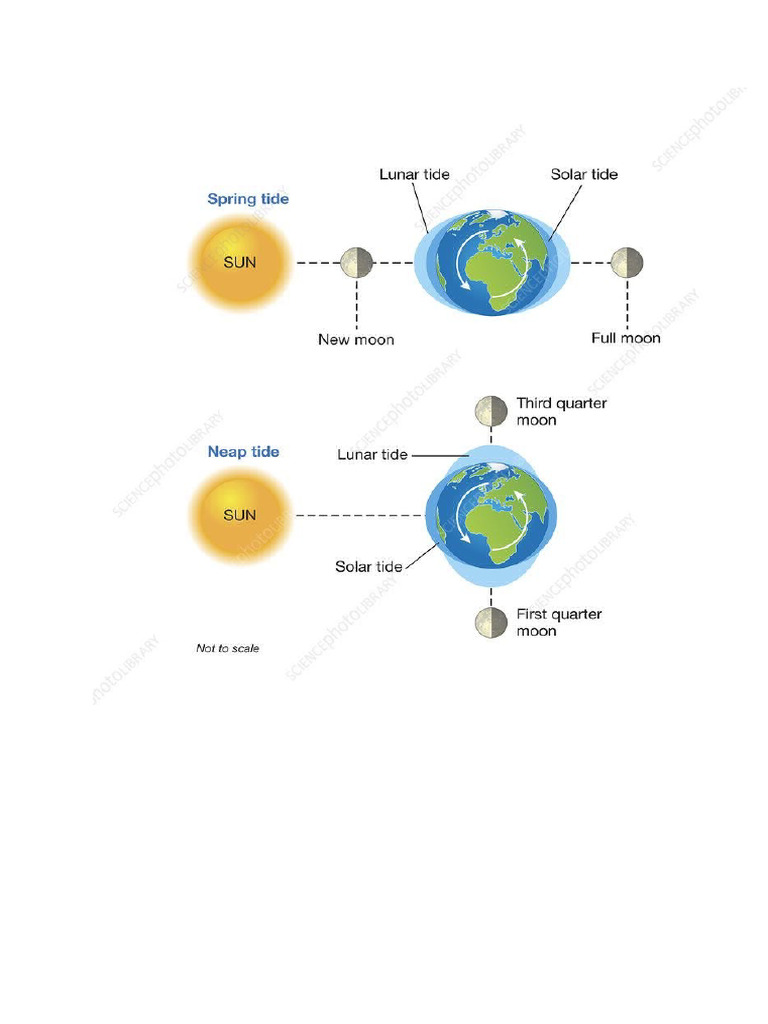 TIDES | PDF