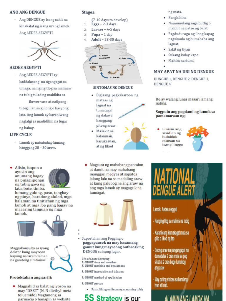 Dengue Flyers Pdf