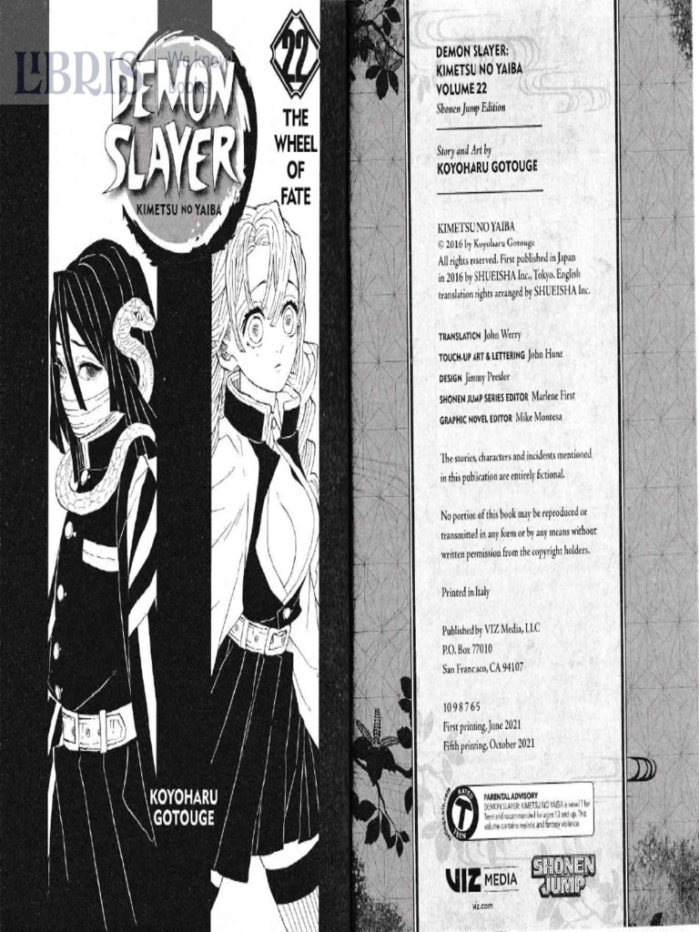 Demon Slayer Vol. 22: The Wheel of Fate | PDF