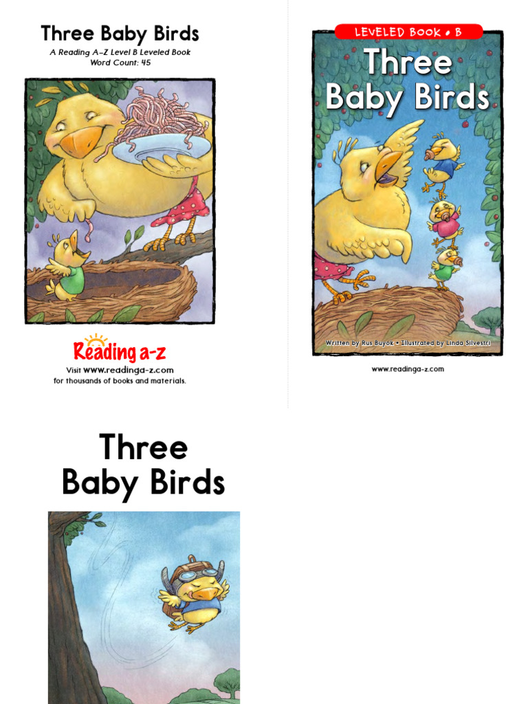 Three Baby Birds: A Level B Book | PDF | Languages | Foreign Language ...