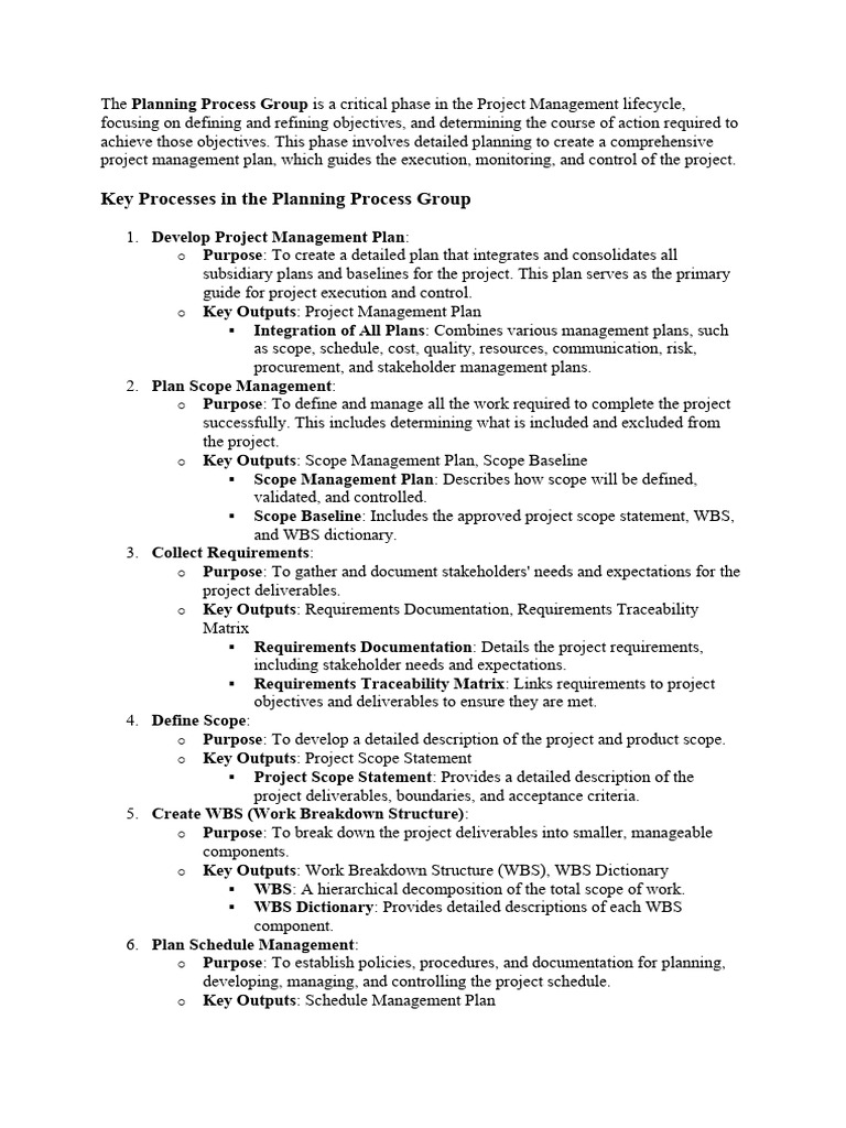 Planning process group pdf project management business