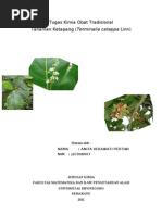 Download Tanaman Obat Tradisional Ketapang by AnitaVerawatiPertiwi SN75727299 doc pdf