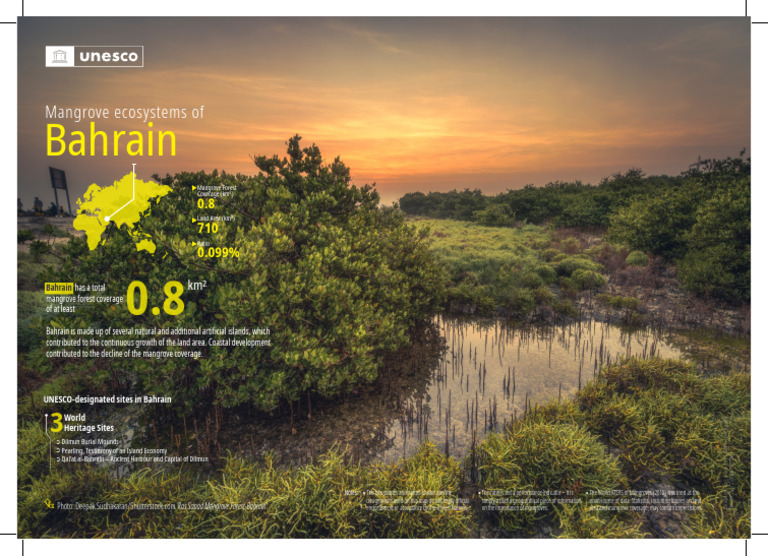 Bahrain: Mangrove Ecosystems of | PDF