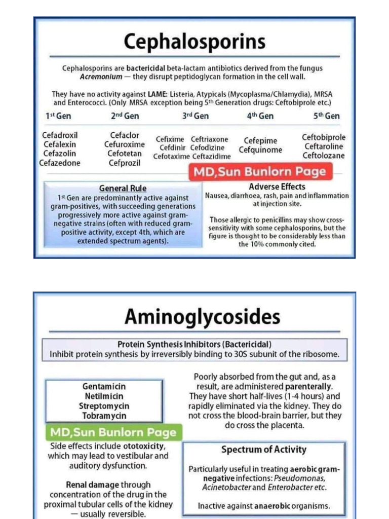 Antibiotics Classification | PDF