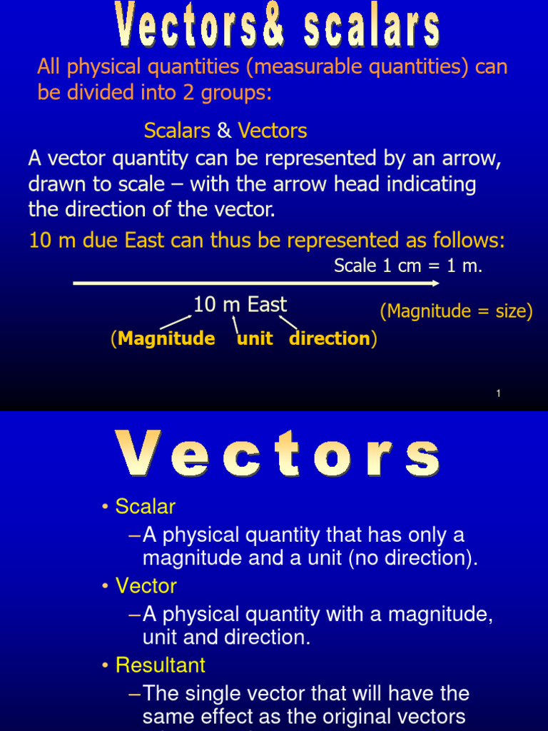 Vectors and Scalars | PDF | Euclidean Vector | Velocity