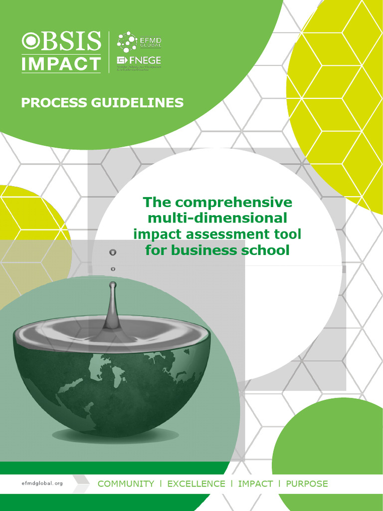 BSIS Process Guidelines Overview | PDF | Value Added Tax | Information