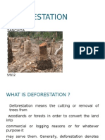 Causes and Effects of Deforestation