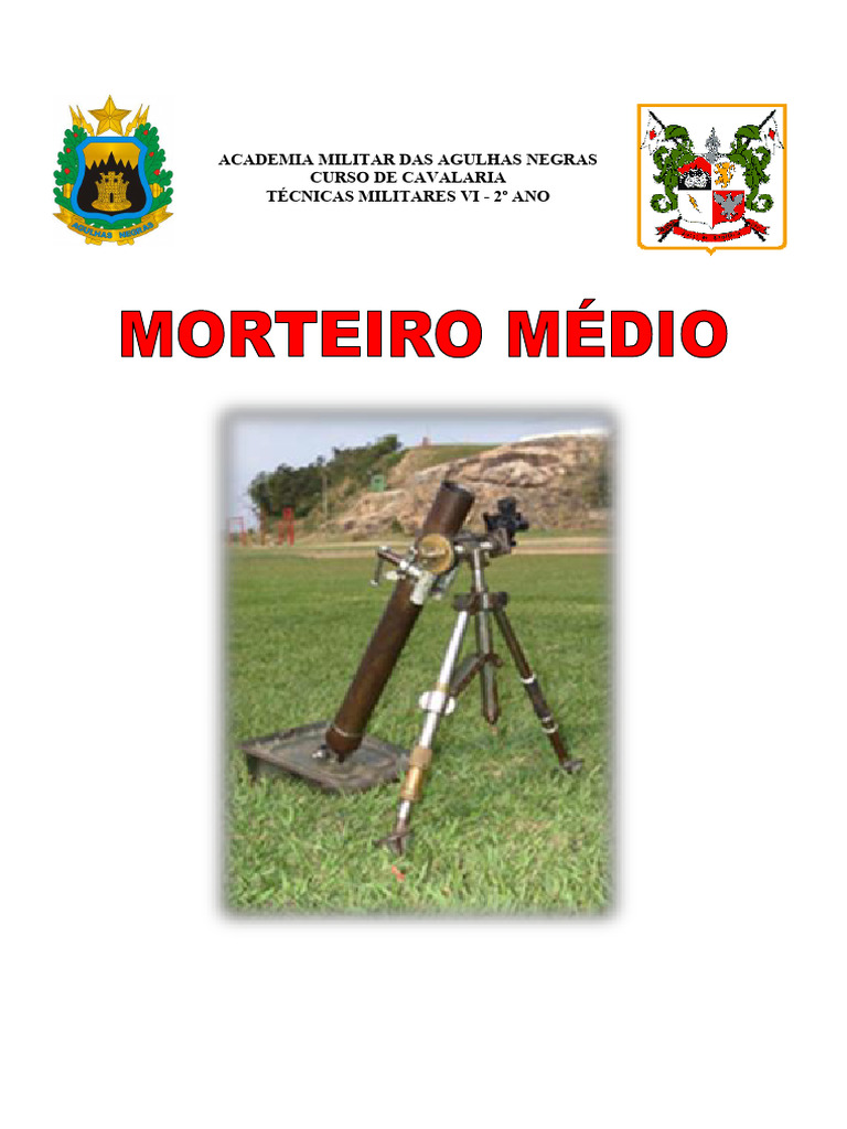 Beretta M9A1-22 nova, FTF e pino da agulha quebrou depois de 15 tiros de  CCI SV. : r/Beretta, image size:768x1024