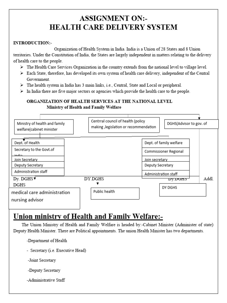 Health Care Delivery System in India | PDF | Welfare | Health Care
