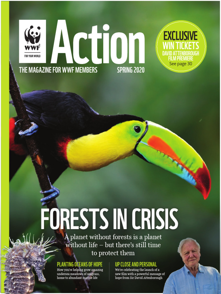 Action Magazine Spring2020 | PDF | Climate Change | World Wide Fund For ...