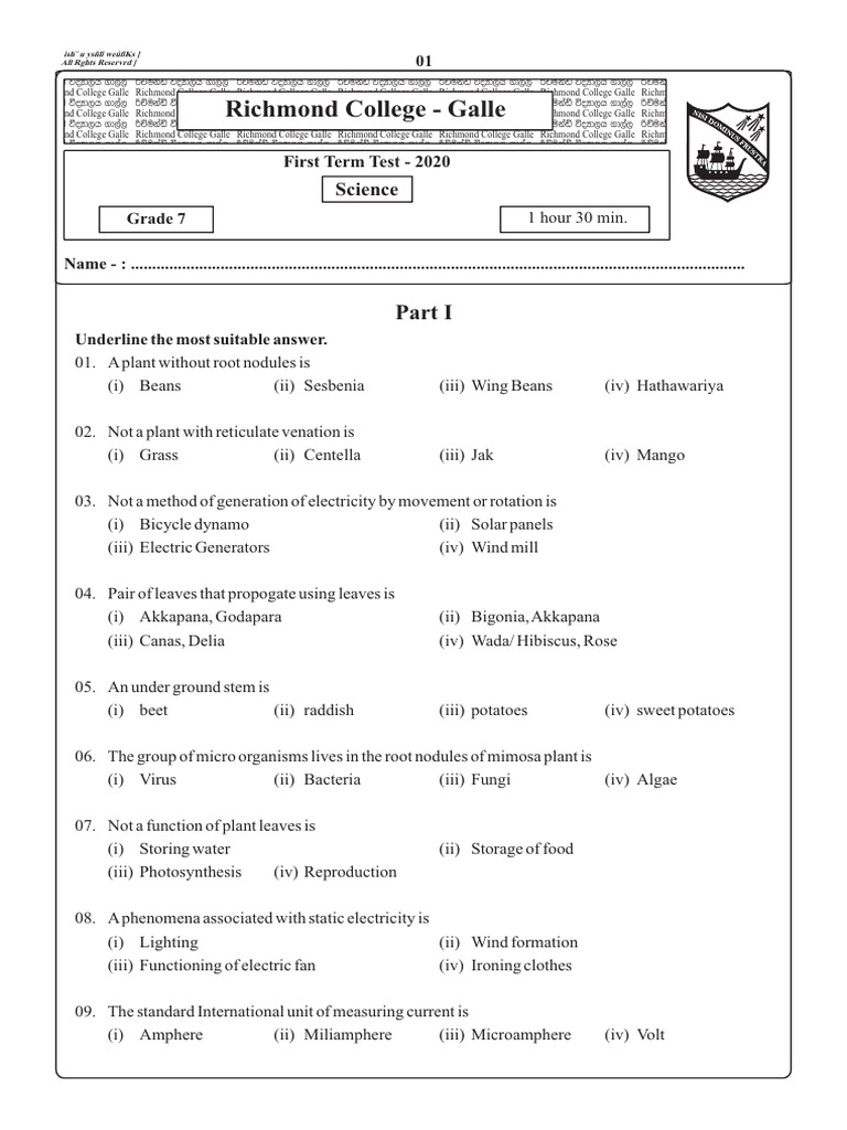 Grade 7 Science Test Paper - Richmond College | PDF | Leaf | Water