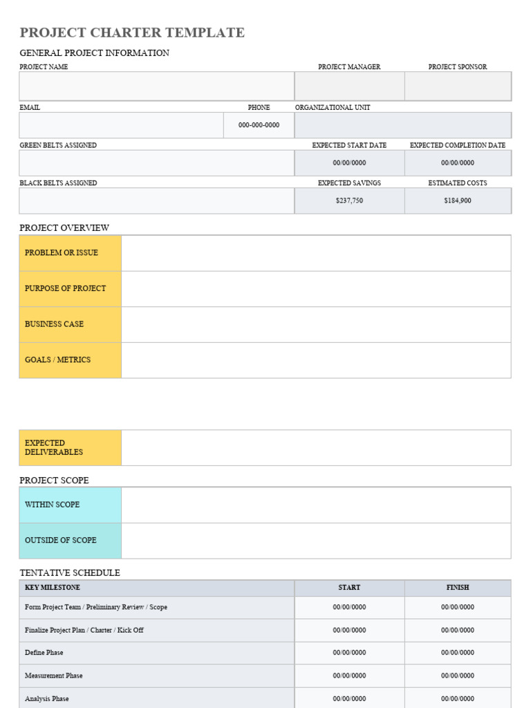 IC Project Charter 8556 | PDF | Performance Indicator | Economies