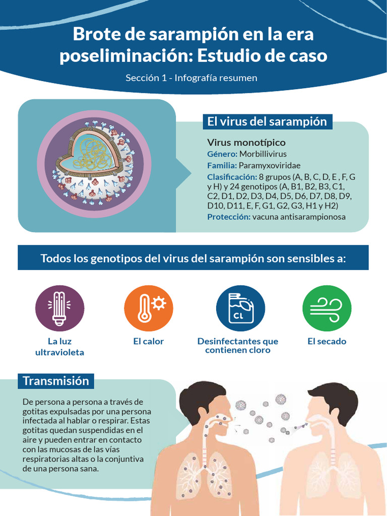 Infografia De Brote De Sarampion En La Era Poseliminacion Estudio De