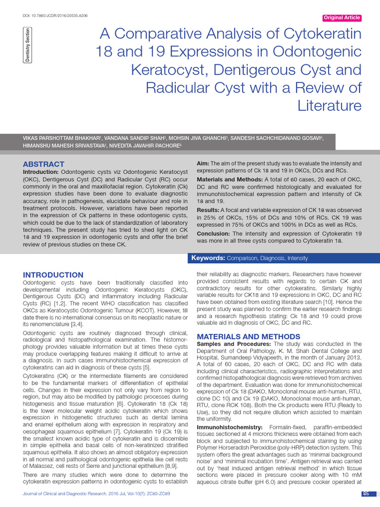 Cytokeratin 18 & 19 in Odontogenic Cysts | PDF | Epithelium | Biology
