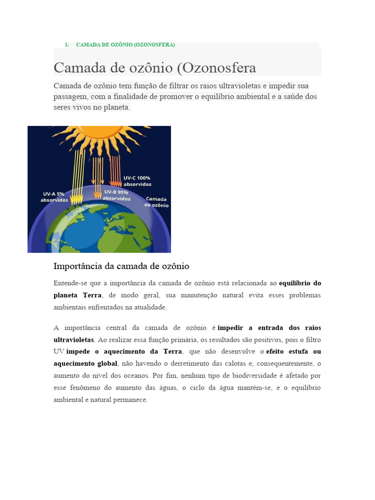Importância e Consequências da Camada de Ozônio | PDF | Ozônio ...