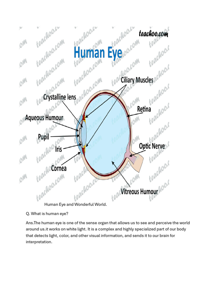 Human Eye 10th Pdf Eye Myopia