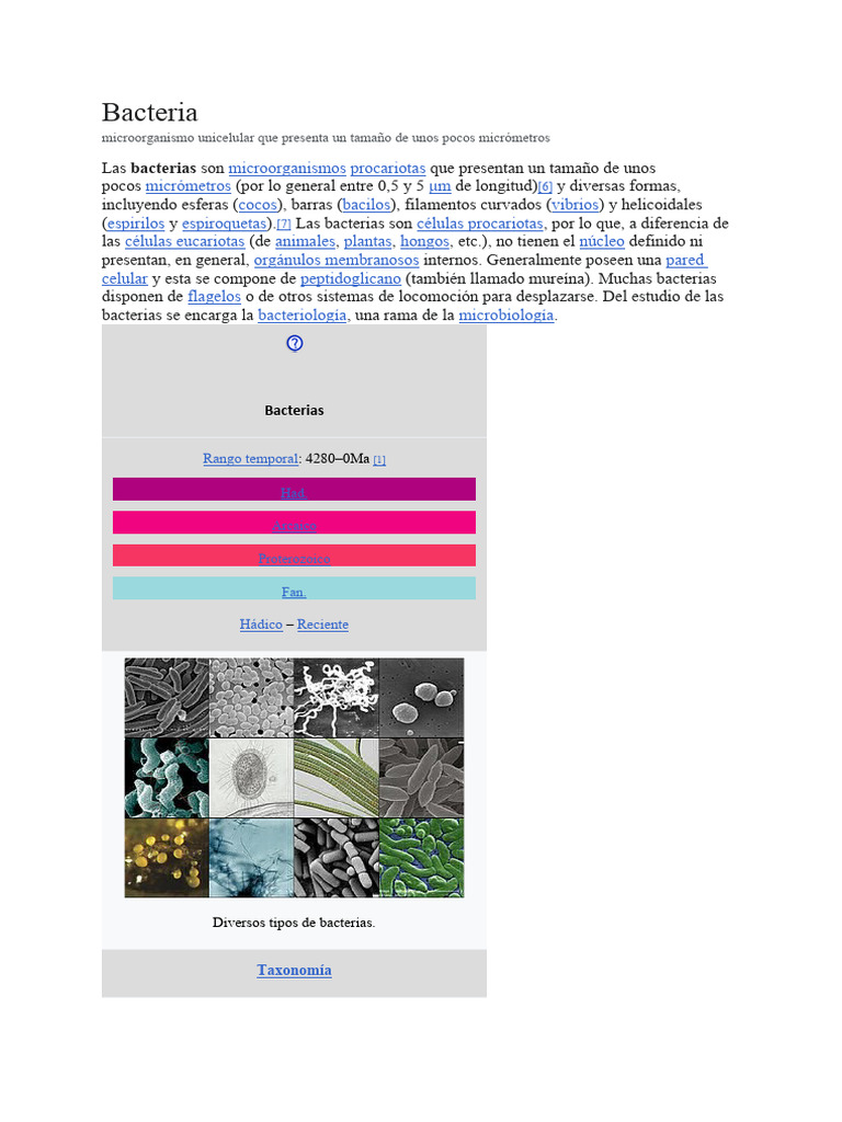 Características y Roles de las Bacterias | PDF | Las bacterias | Archaea