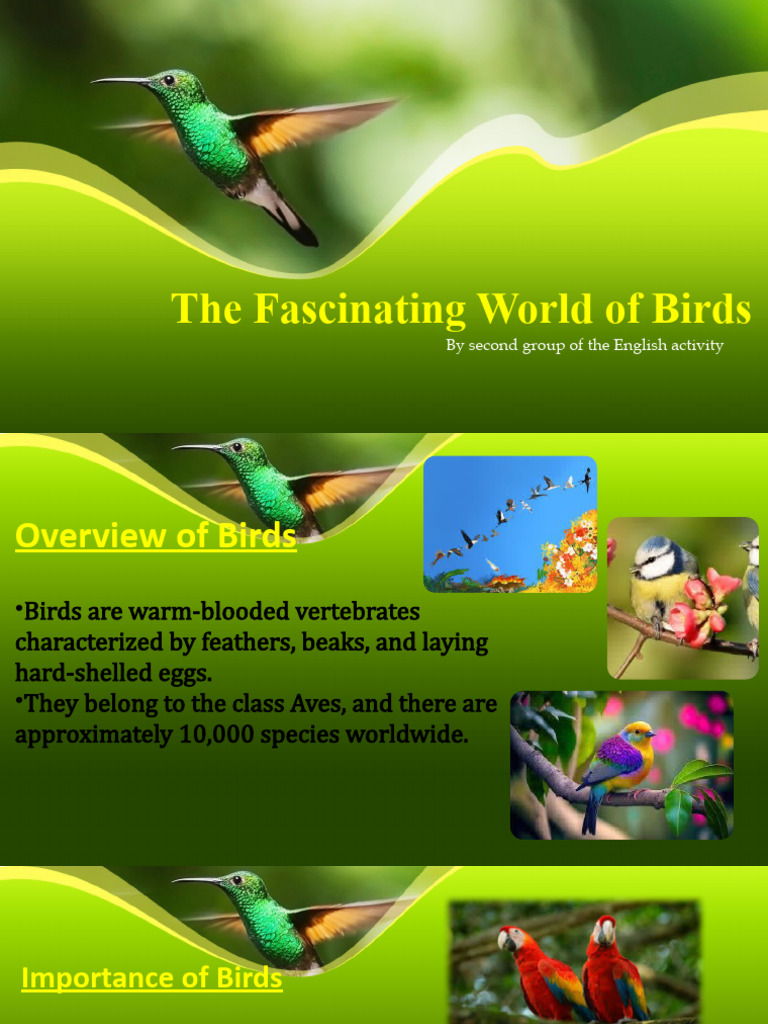 The Fascinating World of Birds | PDF