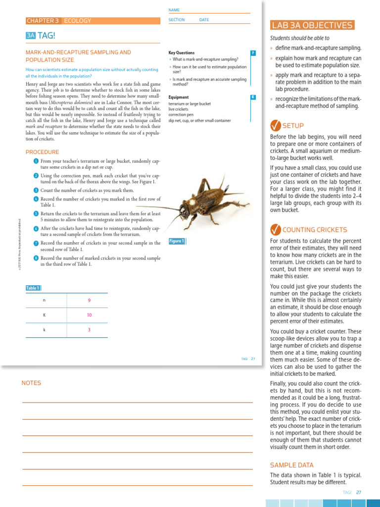 Bio - 5 Chapter 03 Lab Manual TE | PDF | White Tailed Deer