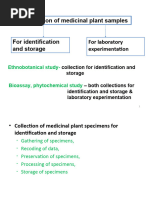 Insect Collection Labeling Guide | PDF | Insects | Arthropods