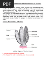 Labeled Anatomy of Sponges Worksheet | PDF | Sponge | Cell (Biology)