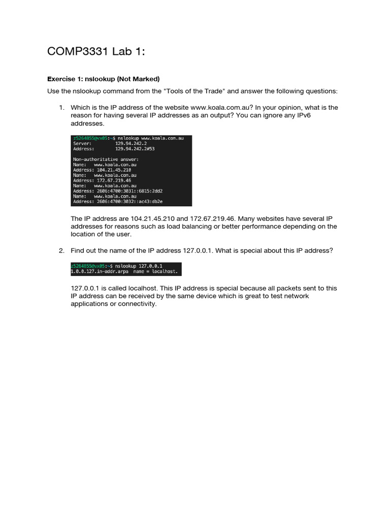 Networking Lab: nslookup, ping, traceroute | PDF | Ip Address ...