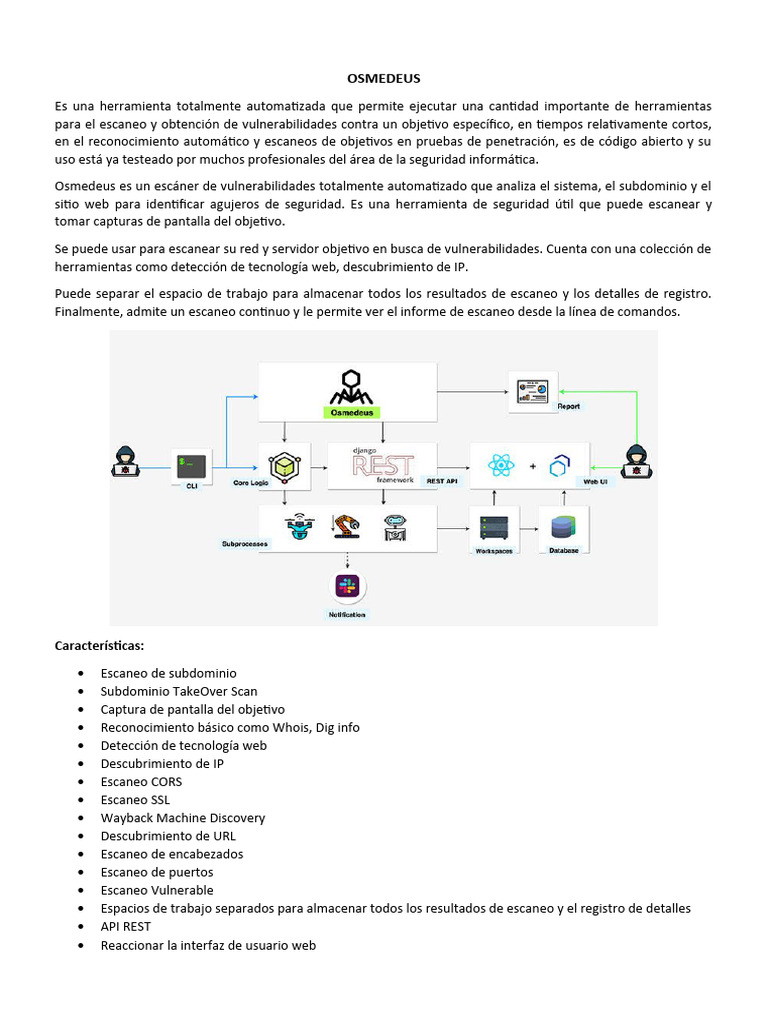 Osmedeus V1 | PDF | Red mundial | Internet y web