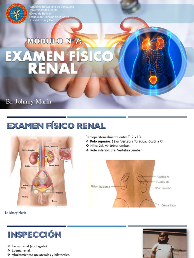 Exploración y evaluación renal clínica | PDF | Términos anatómicos de ...