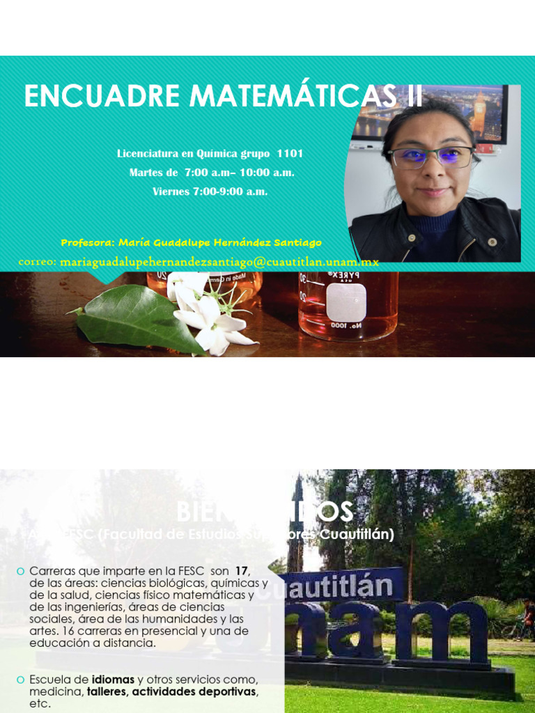 Encuadre Matematicas Fesc | PDF | Matemáticas | Integral