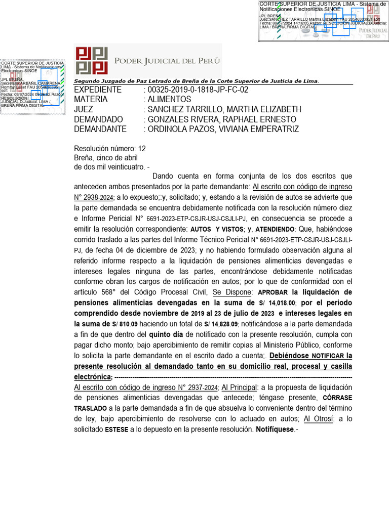 Res 2019003250124144000552246 | PDF | Separación de poderes | Judicaturas