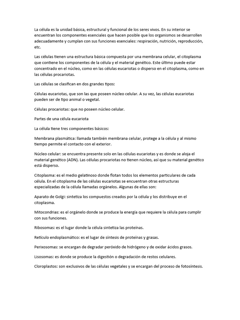 Estructura y Función Celular Básica | PDF | Biología Celular) | Citoplasma