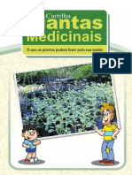 cartilhaplantasmedicinais-100425064846-phpapp02