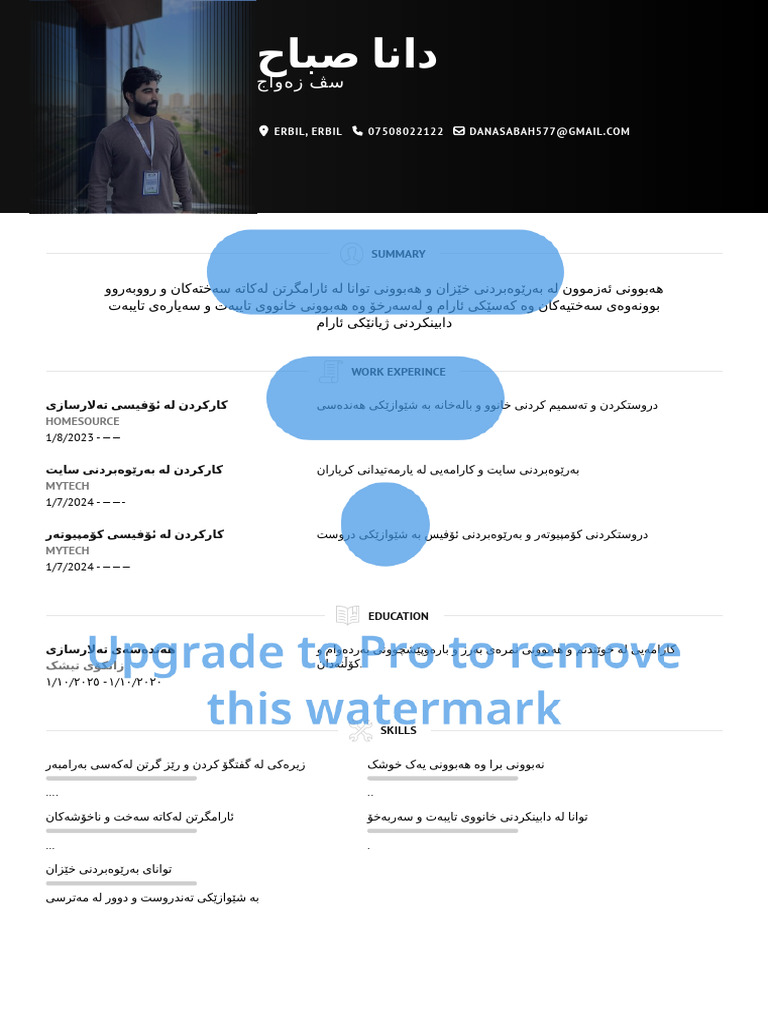 Dana sabah visualcv resume pdf