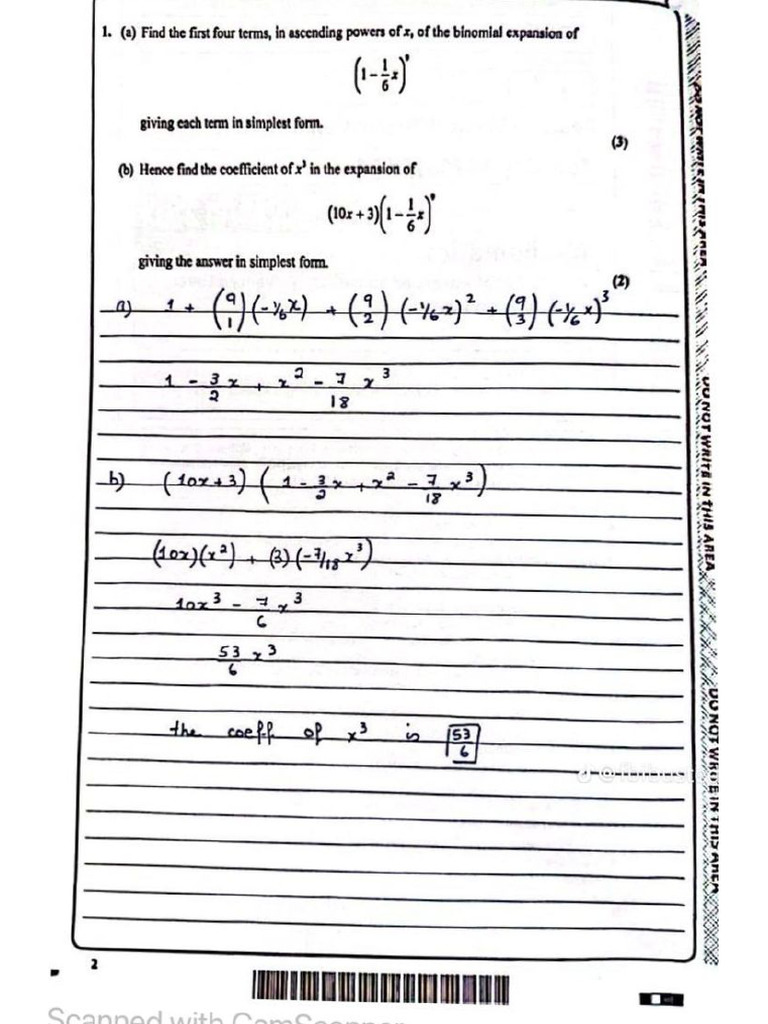 Revision Worksheet MS | PDF