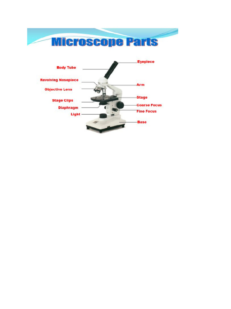 Microscope Pdf