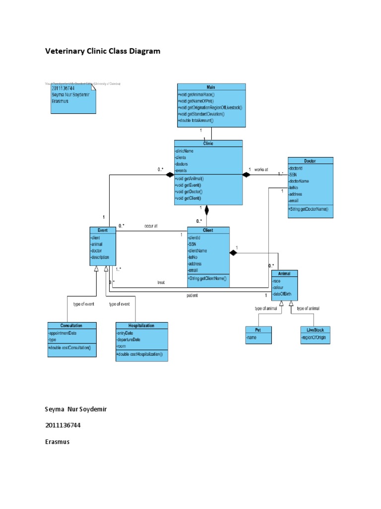 Veterinary Clinic Class Diagram PDF