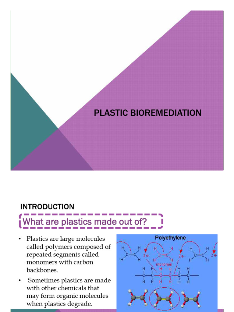 Bioremediation of Plastic Pollution | PDF | Plastic | Biodegradation
