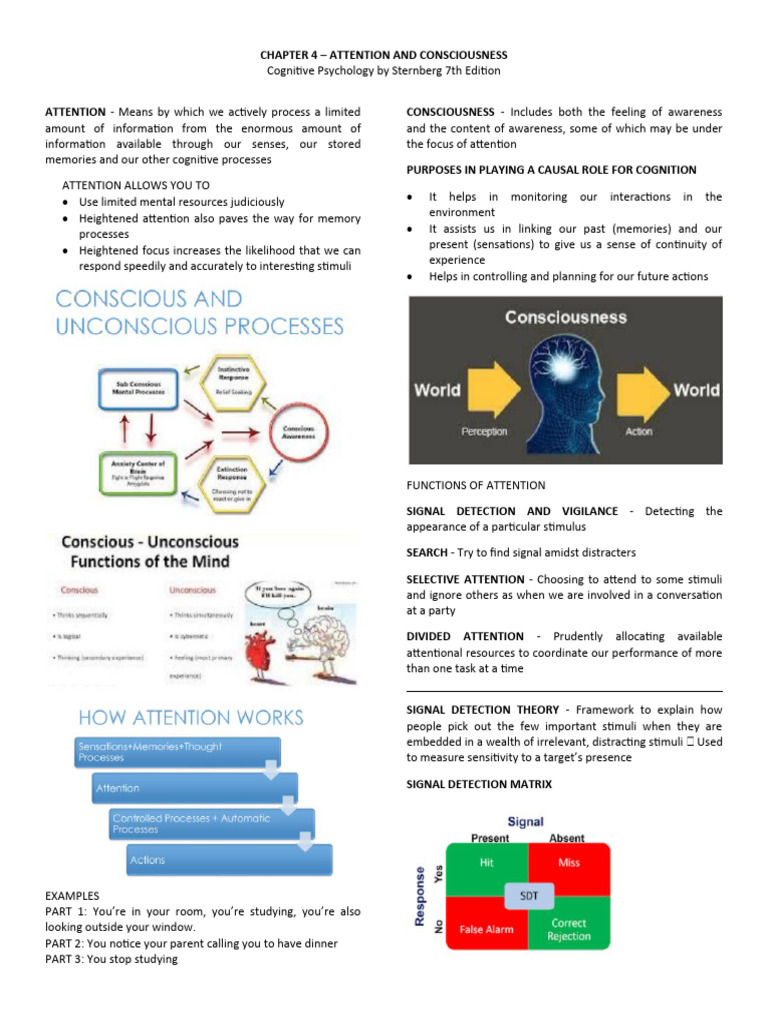 Cognitive Psychology Sternberg Chapter 4 Reviewer Pdf Attention