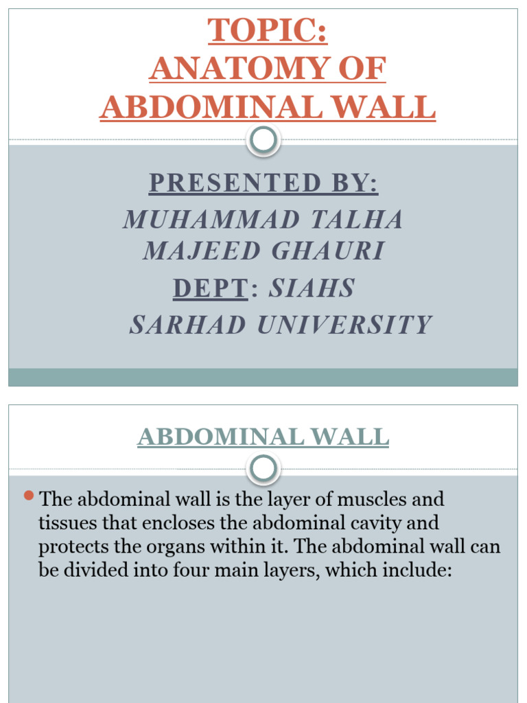 ABDOMINAL WALL ORGANS AND PERITONEUM visual data 2