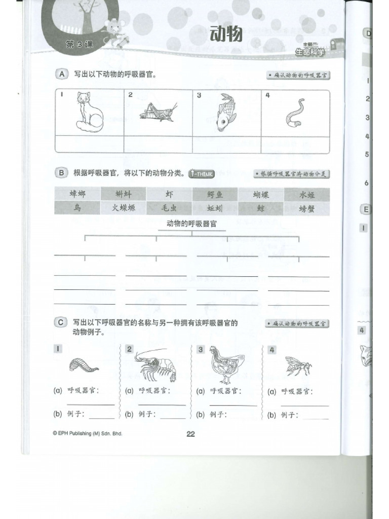 s4 Science Unit 3 Exercise | PDF