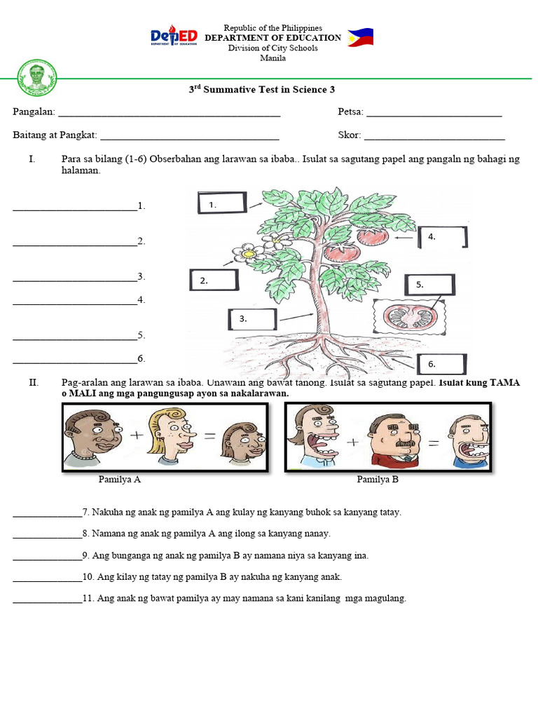 3rd Summative Test in Science 3 | PDF