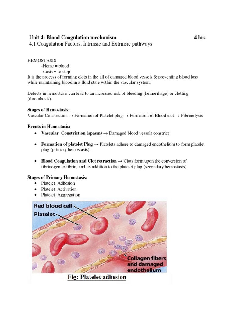 Unit-4 Blood Coagulation System | PDF | Coagulation | Platelet