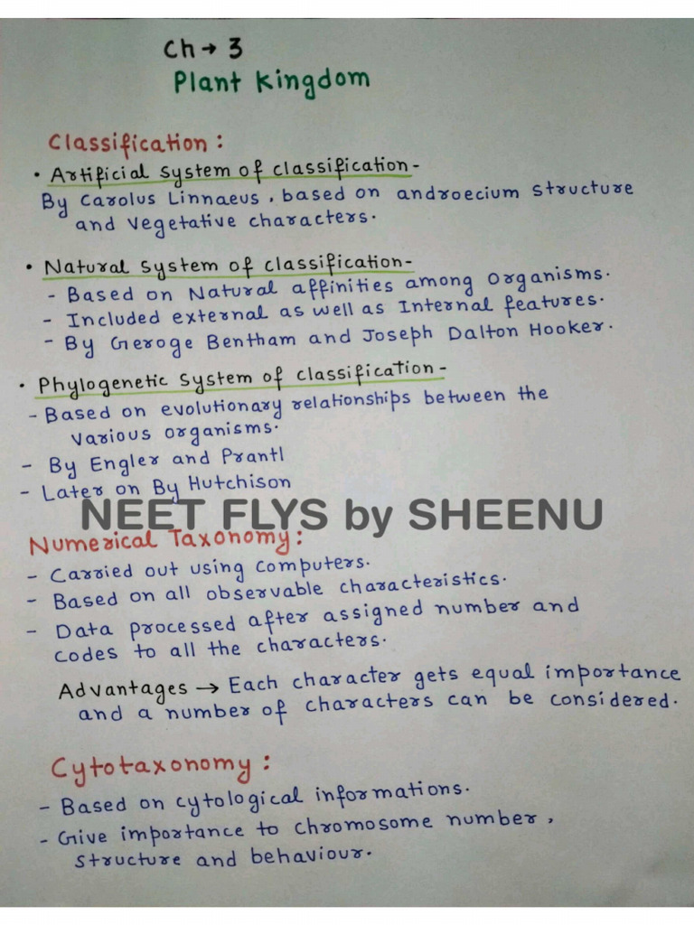 Plant Kingdom... | PDF