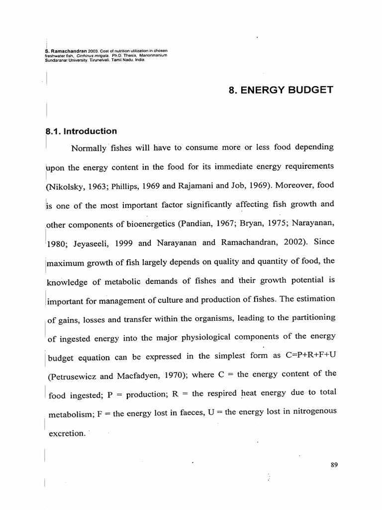 Appraising The Brains Energy Budget